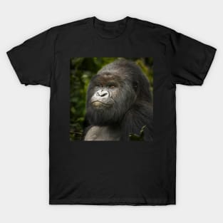 Gorilla III T-Shirt